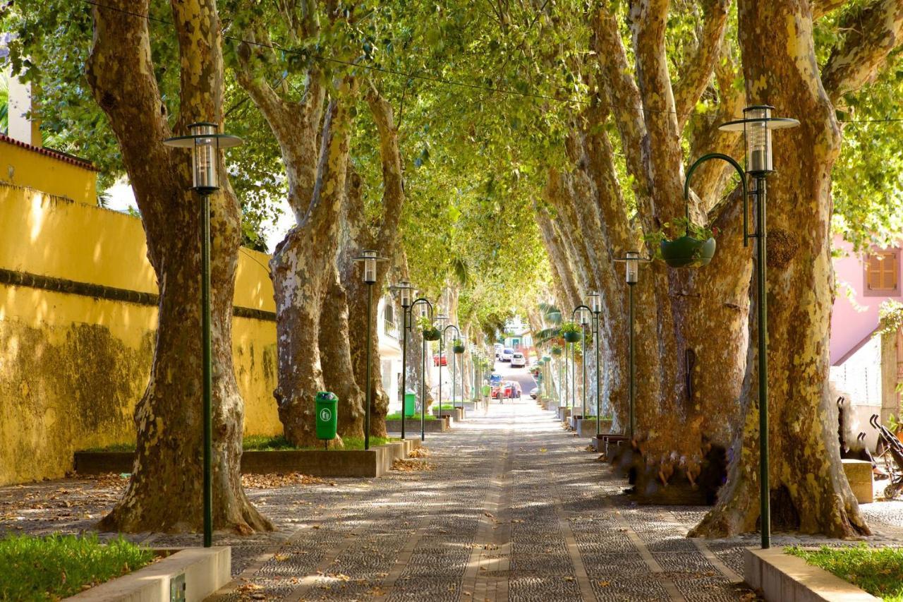 Sunny Beach Machico Apartment By Hr Madeira エクステリア 写真